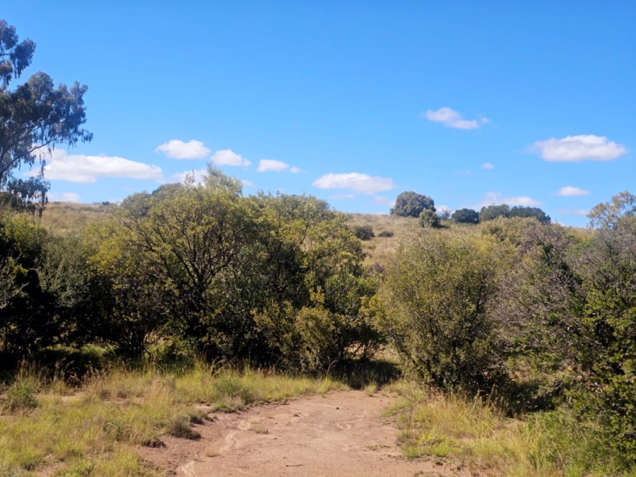 4 Bedroom Property for Sale in Dewetsdorp Free State